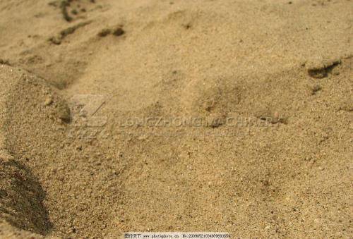 price of washed sand