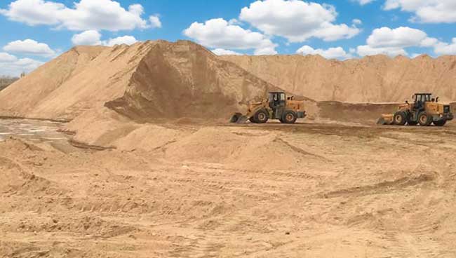 mountain sand plant